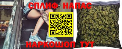 эйфоретик Аргун