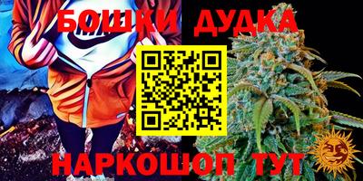 эйфоретик Аргун